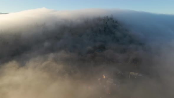 Aerial View of Moody Landscape Above Foggy Forest with Pine Trees Covering Mountain Hills at Sunset