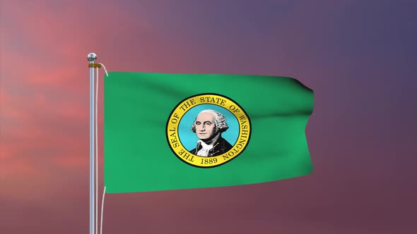 Washington Flag 4k