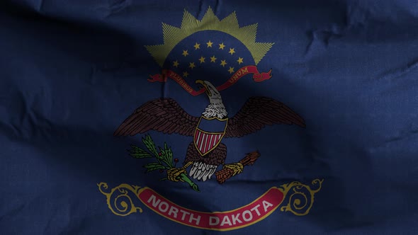 North Dakota State Flag 4K