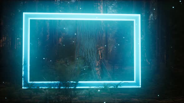 Neon Glowing Rectangle Frame in the Night Forest