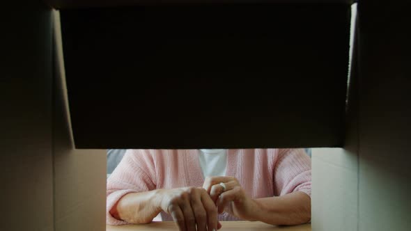 Beautiful Elderly Woman Opening Cardboard Parcel Looking Inside Smiling at Home