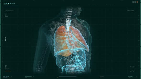 The 3D Image Of Human's Body In Futuristic Diagnostics Medical Software alt