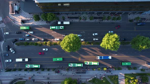 Buses On The Bus Lane