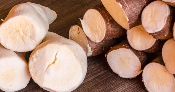Cassava, also called manioc, yuca, balinghoy, mogo, mandioca, kamoteng kahoy, tapioca and manioc roo