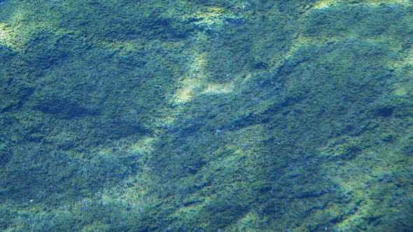 Rippling Sunlight On Rock Surface Underwater