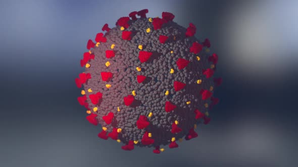  Coronavirus COVID-19 alt