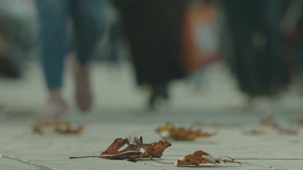 People are walking in city traffic