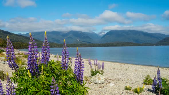 View on Manapouri Lake New Zealand