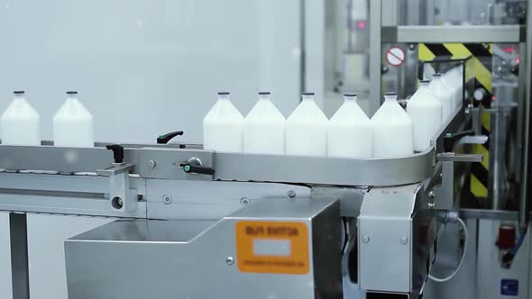 Automatic Vaccine Production Line for Cattle in Pharmaceutical Plant.