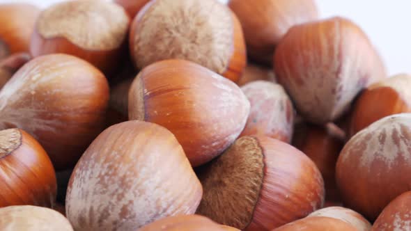 Hazelnut Abstract Background. Rotate