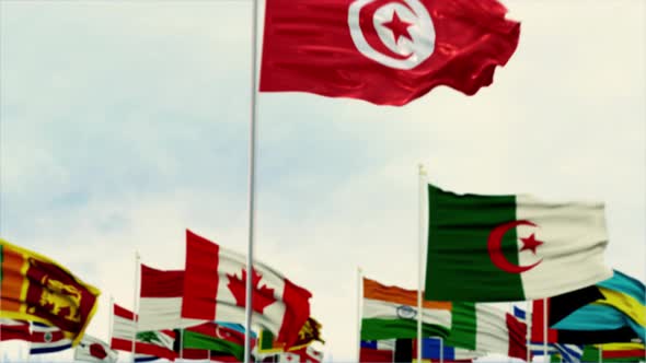 Tunisia Flag With World Globe Flags Morning Shot