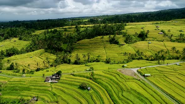 Motorcycle Rides on the Road in Rice Terraces