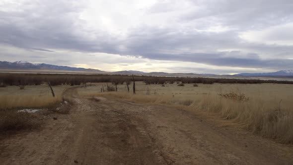 Walking down dirt road winding through grassy field on old farm