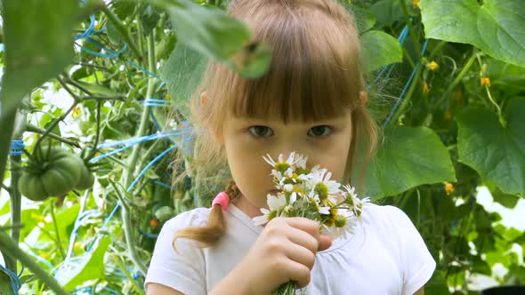 Young Beautiful Girl Smells Chamomile Bouquet in Garden