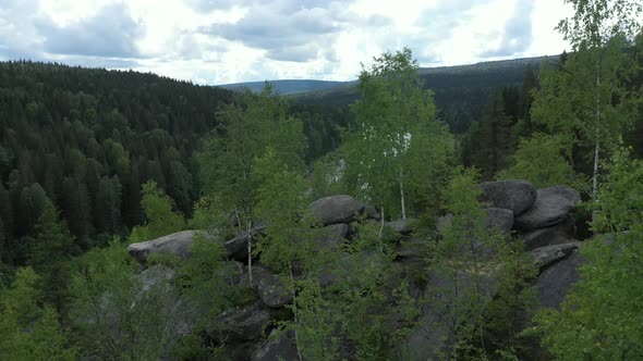 long river that flows between two banks with trees