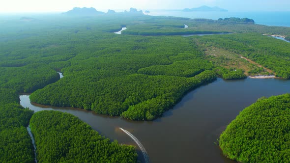 Top view of the boat cruising along the river with mangroves surrounding.