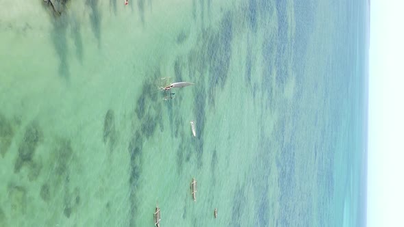 Zanzibar Tanzania  Vertical Video of the Ocean Near the Coast Slow Motion