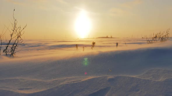 Arctic Snow Storm at Sunset