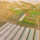 Large Territory Of Agricultural Greenhouses - VideoHive Item for Sale
