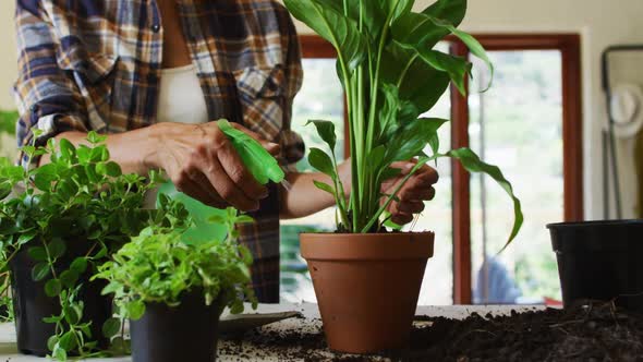 Mid section of woman spraying water on plants at home