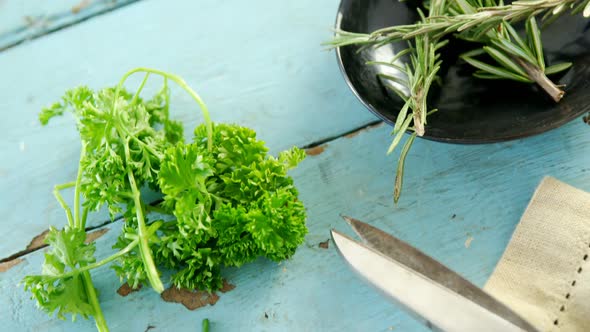 Various herbs, scissors and napkin on wooden table 4k