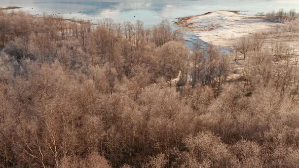 Drone Over Forest In Winter Landscape