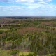 View From the Top of the Green Forest Under the Blue Sky - VideoHive Item for Sale