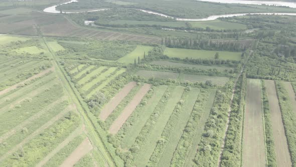 Aerial drone view flight over different agricultural fields sown in Samegrelo, Georgia