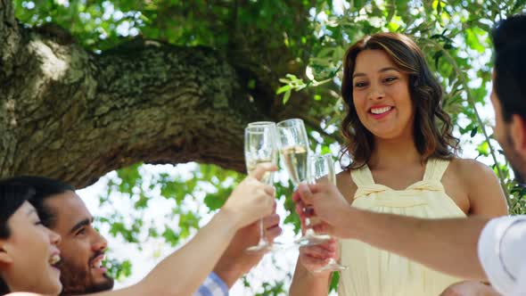 Group of friends toasting champagne glasses while having lunch