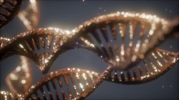 Double Helical Structure of Dna Strand Closeup Animation alt