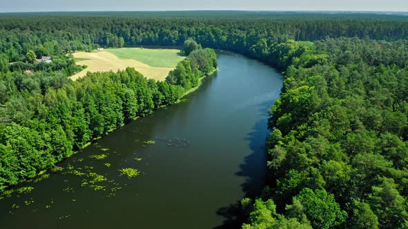 River and forest in Zalew Koronowski, Poland