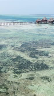 Tanzania  Vertical Video of the Ocean Near the Coast of Zanzibar Slow Motion