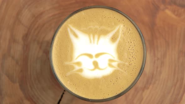 Cat Latte Art.