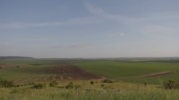 The Beauty of Green Fields and Blue Sky