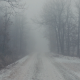 Scary Foggy and Cold Gravel Road - VideoHive Item for Sale