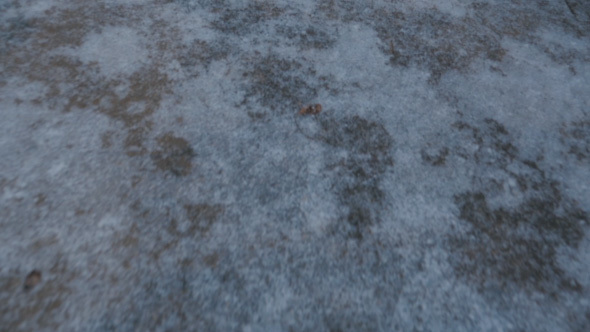 Walking Across Slick Ice on Concrete