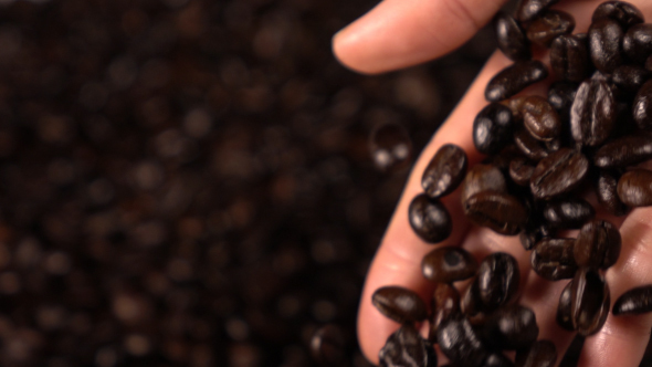 Hand Pouring Coffee Beans