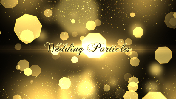 Wedding Particles Opener