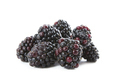 Organic Blackberries - PhotoDune Item for Sale