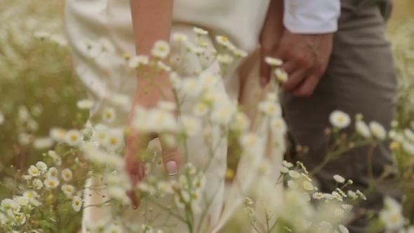 Newlyweds Walking On The Flower Field