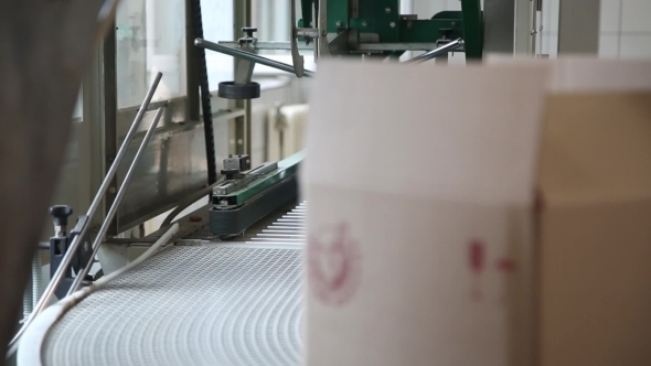 Packing Boxes On Conveyor alt
