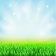 Spring Green Grass - GraphicRiver Item for Sale