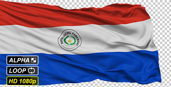 Isolated Waving National Flag of Paraguay