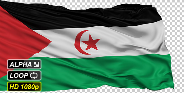 Isolated Waving National Flag of Western Sahara