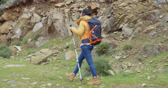 Active Fit Young Woman On a Hiking Trail