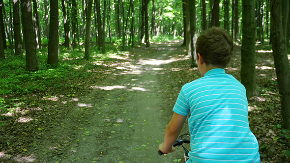 Boy Biking on Forest Trails