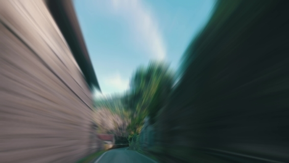 Speedy Driving On a Narrow Road In Forest