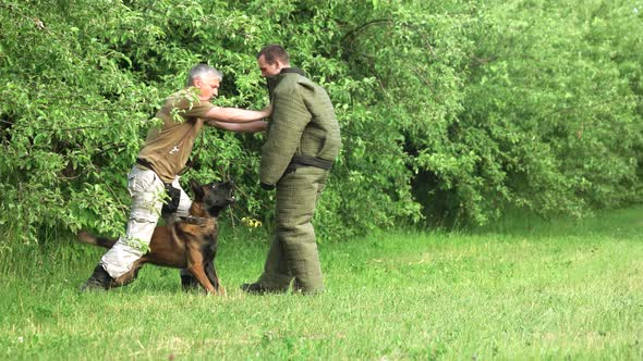 Man Is Pushing Off a Figurant To Make a Dog React.