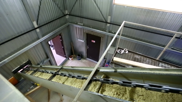 View On Conveyor Of Sawdust At Sawmill