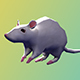 Low Poly Rigged Mouse  - 3DOcean Item for Sale